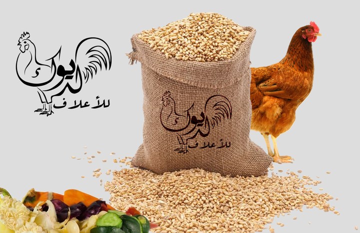 شركة الديوك