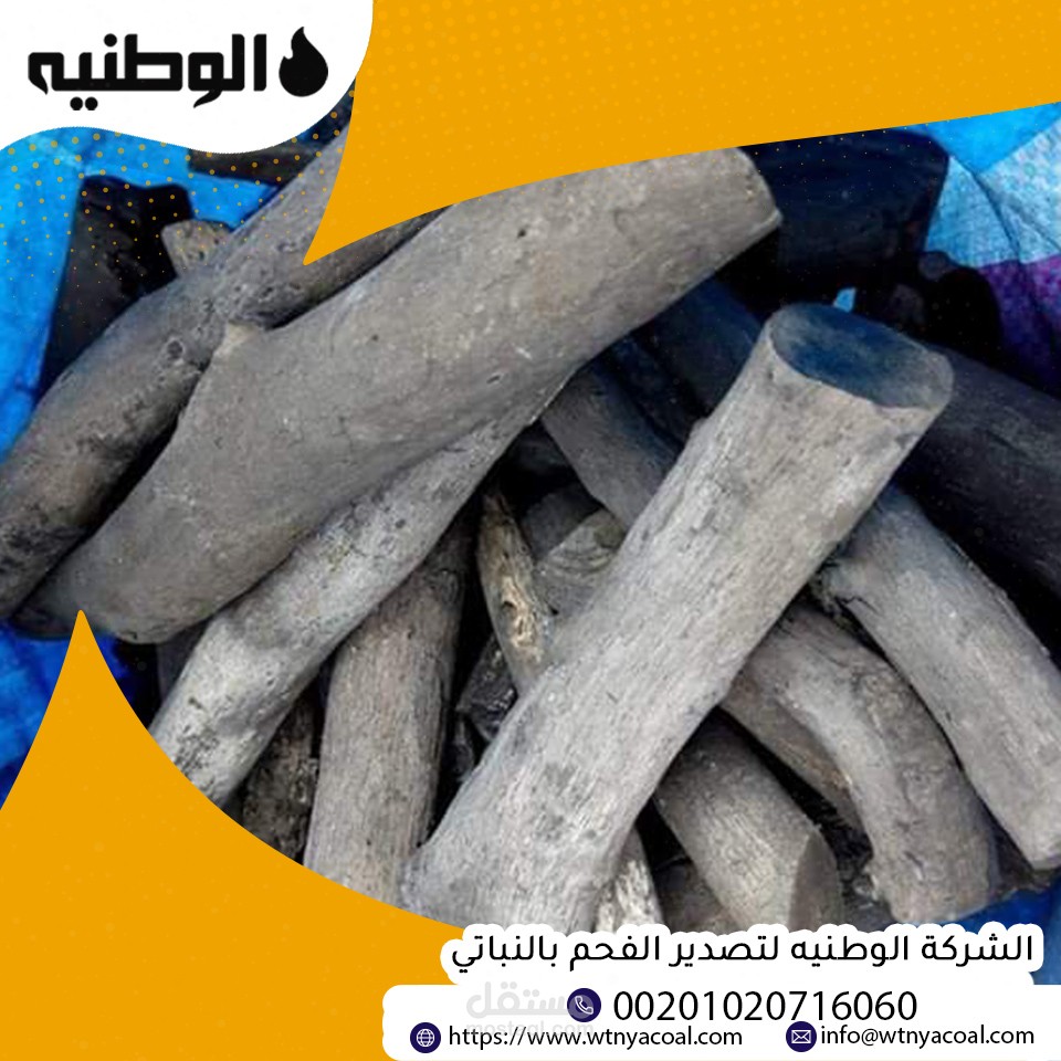 تصاميم سوشيال ميديا