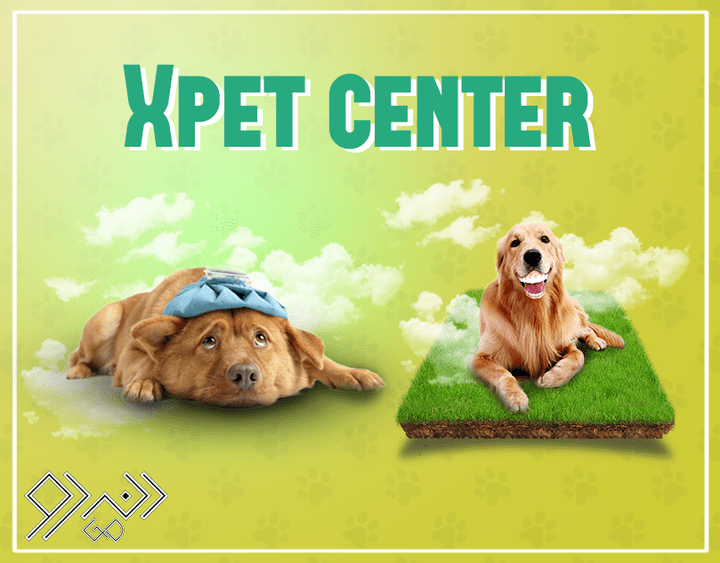 X Pets Social Media Project