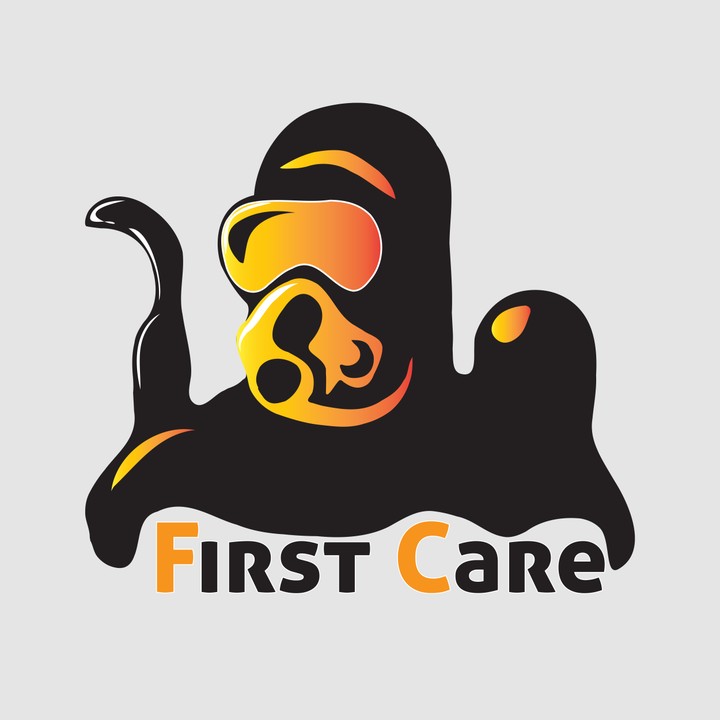 Logo (First Care Company)