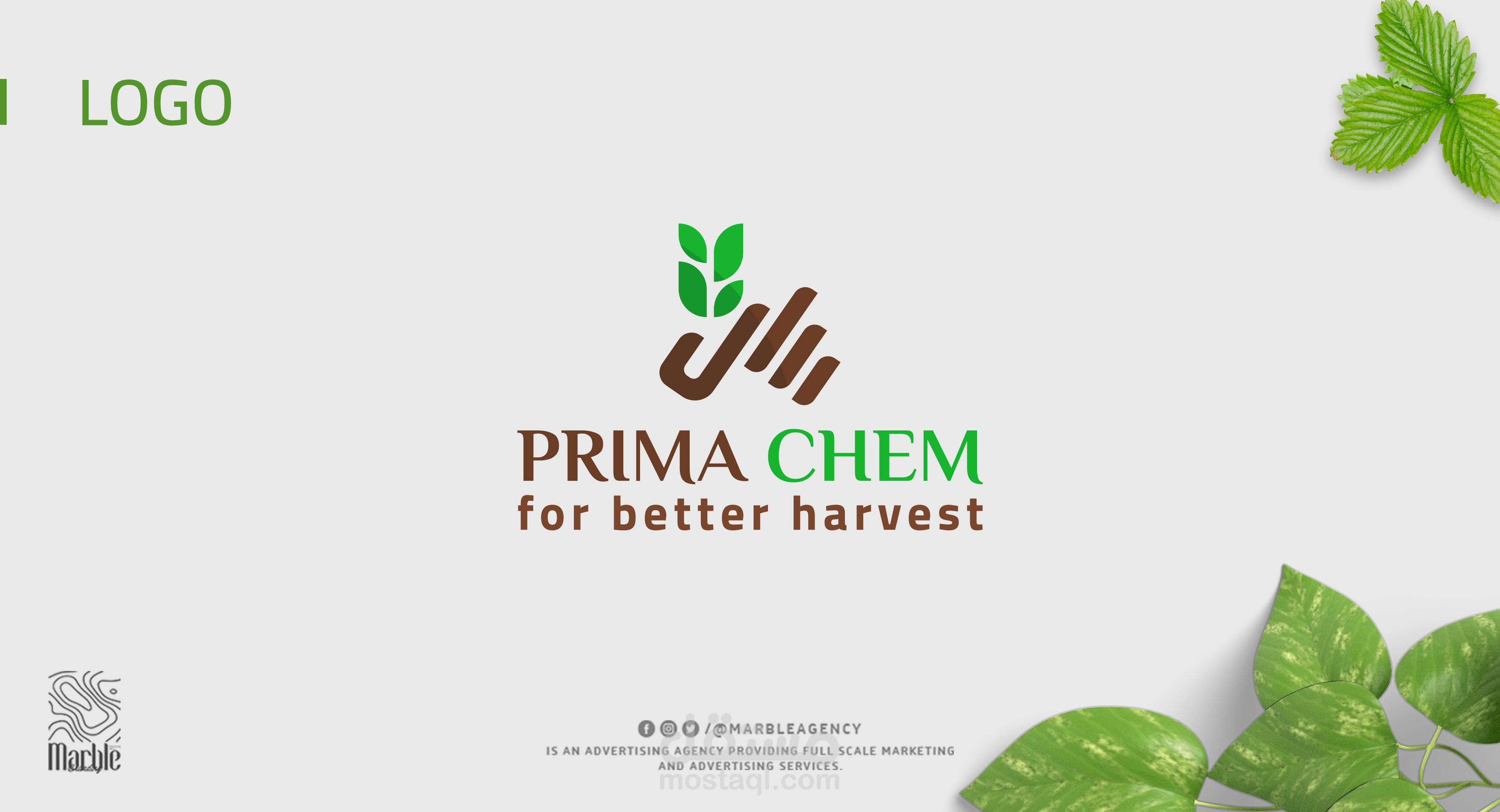 logo design   prima chem