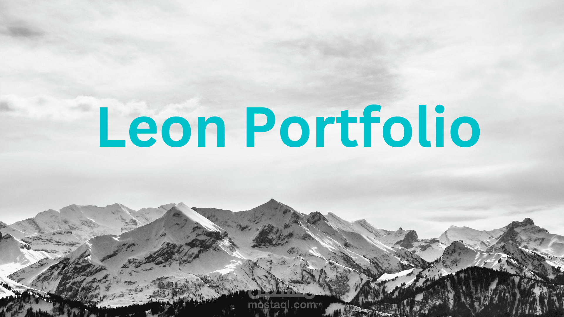 Leon Portfolio