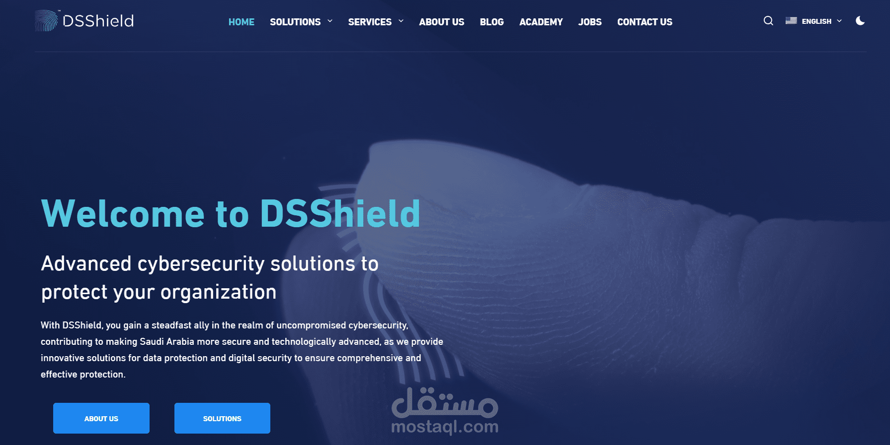 إدارة و إعادة تصميم و نشر مقالات مدونة موقع dsshield