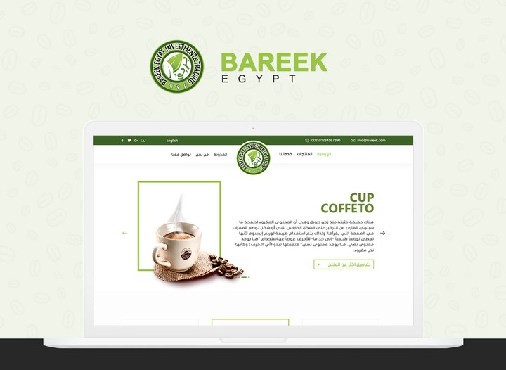 Bareek Egypt Website