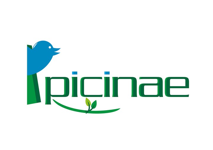 PICINAE LOGO