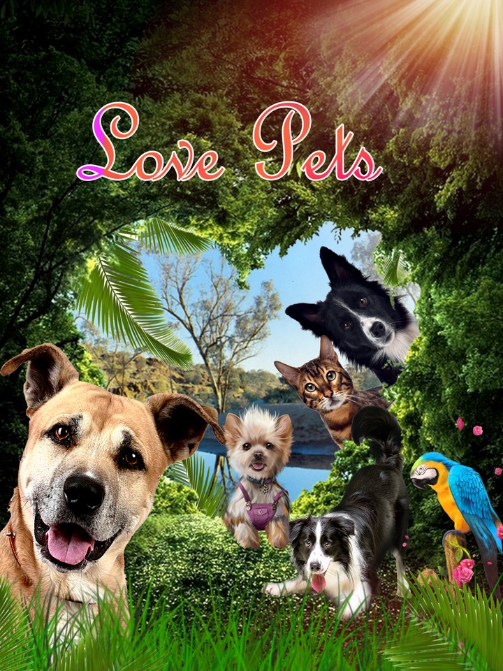 Love Pets