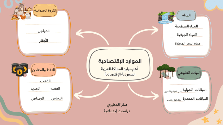 تصميم الخرائط المفاهيمية لكافة المستويات المبسط منها والمعقد