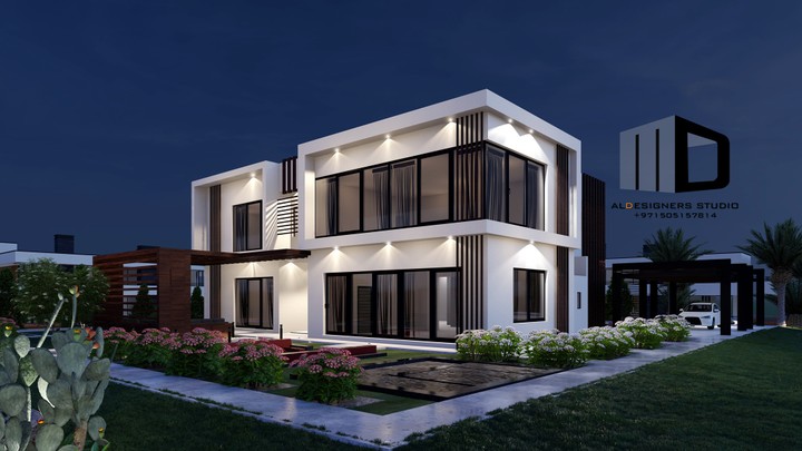 Modern design villa