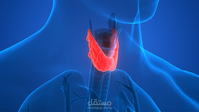 مقال عن الغدة الدرقية ومشاكلها