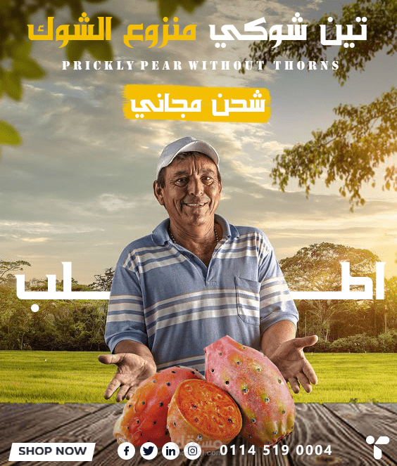 تصاميم سوشيال ميديا
