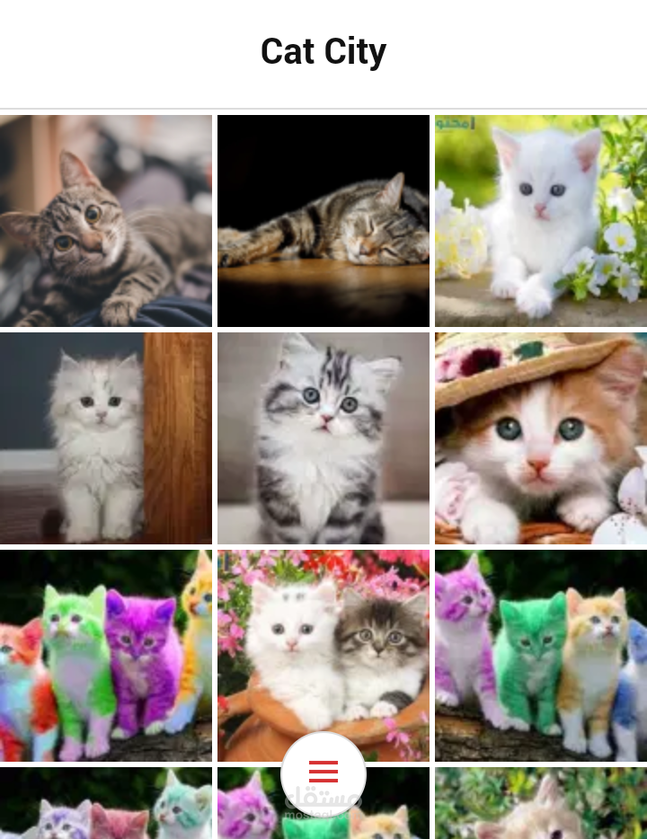 Cat City