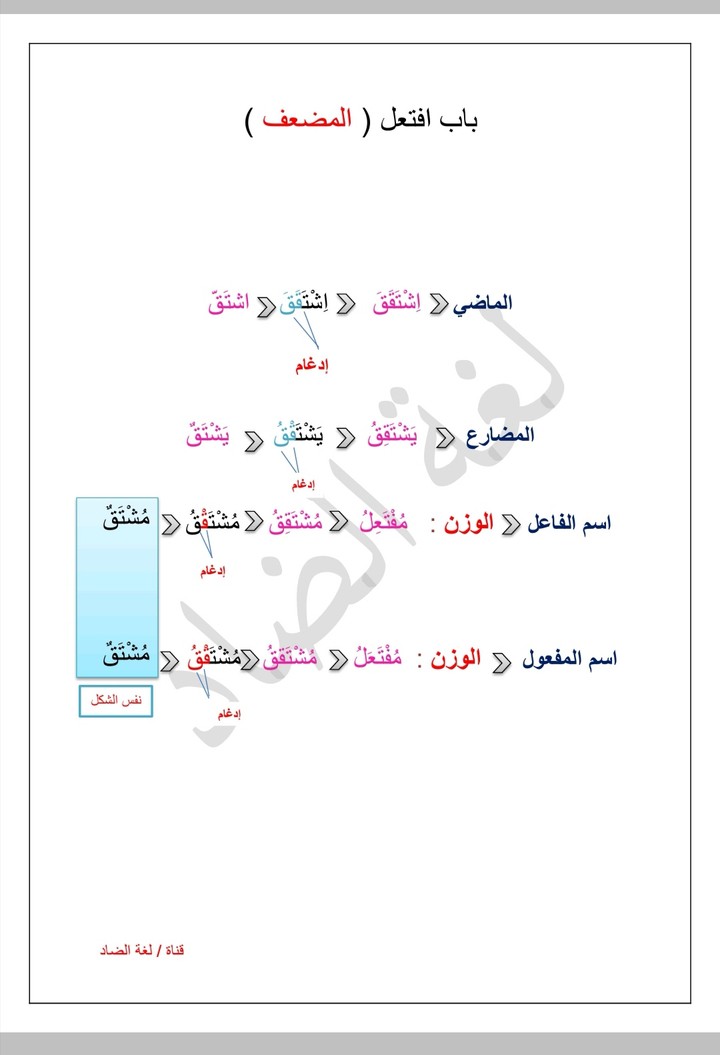 ورقة عمل ببرنامج الوورد