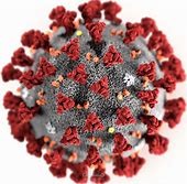 Coronavirus and COVID-19: What you ought to Know