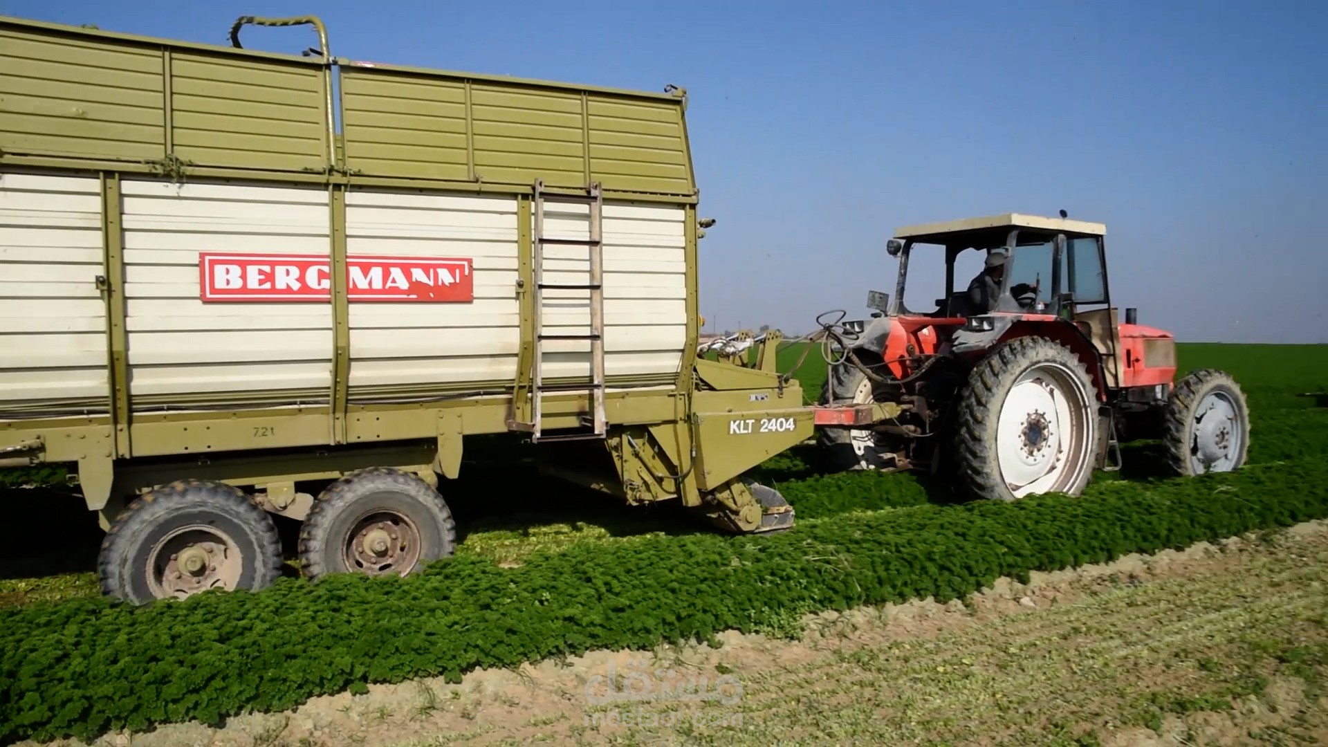 فيديو ترويجي لشركة مزارع دينا – Dina Farms