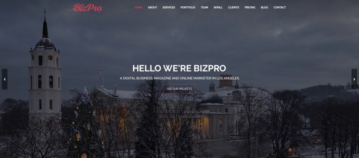 BizPro