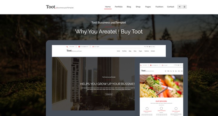 Toot.business templet psd