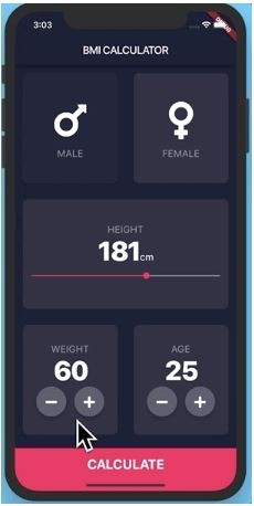 BMI Calculator