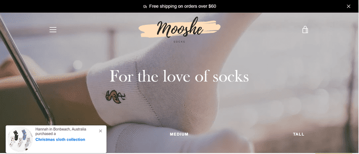 moshe socks