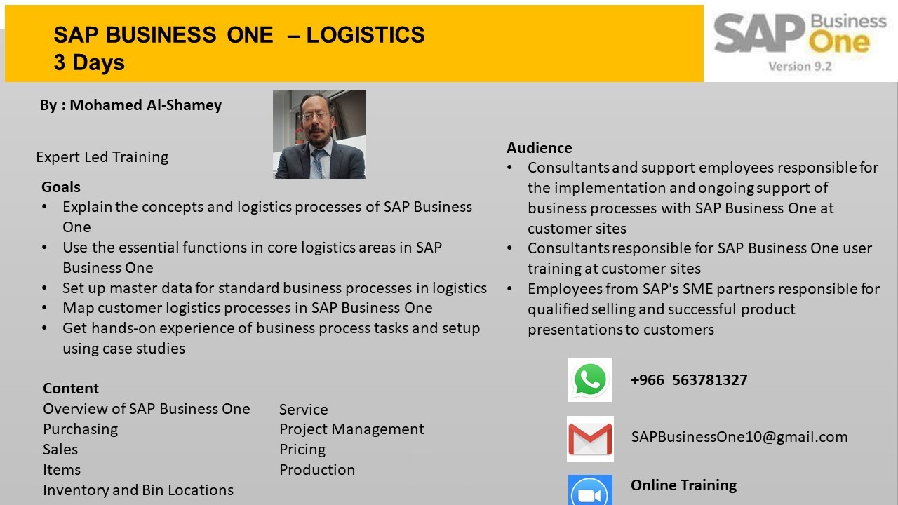 SAP BUSINESS ONE – LOGISTICS