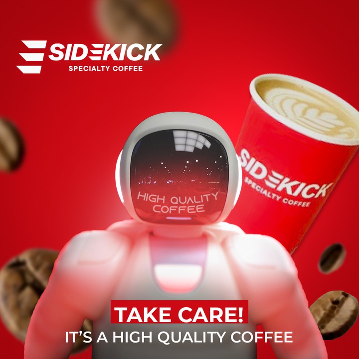 Sidekick- 02