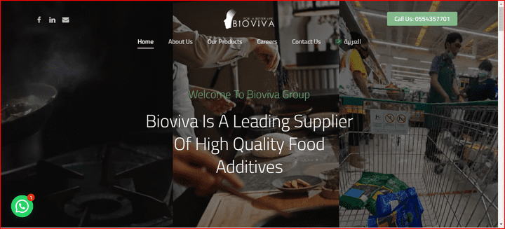 Multi Language Website For Bioviva-group - موقع متعدد اللغات لشركة بايوفيفا