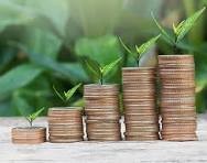 تطوير عروض مستثمرين احترافية مدعومة ببيانات وتحليلات دقيقة