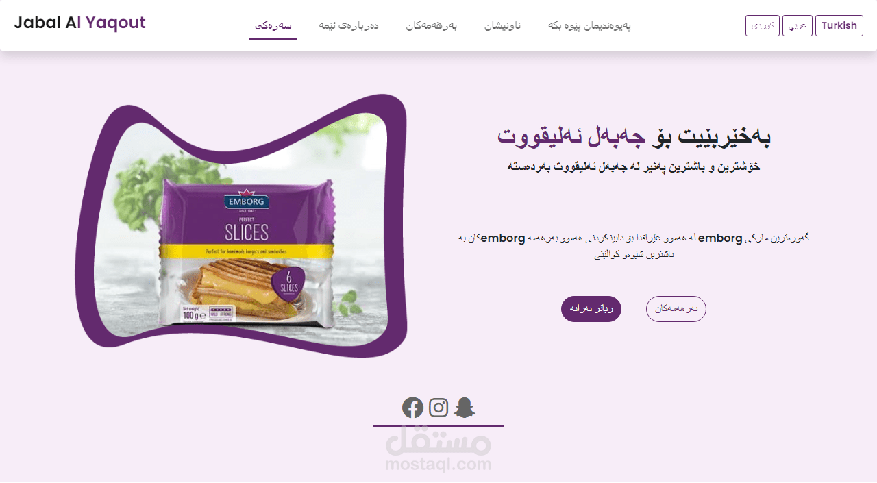 صفحة الهبوط