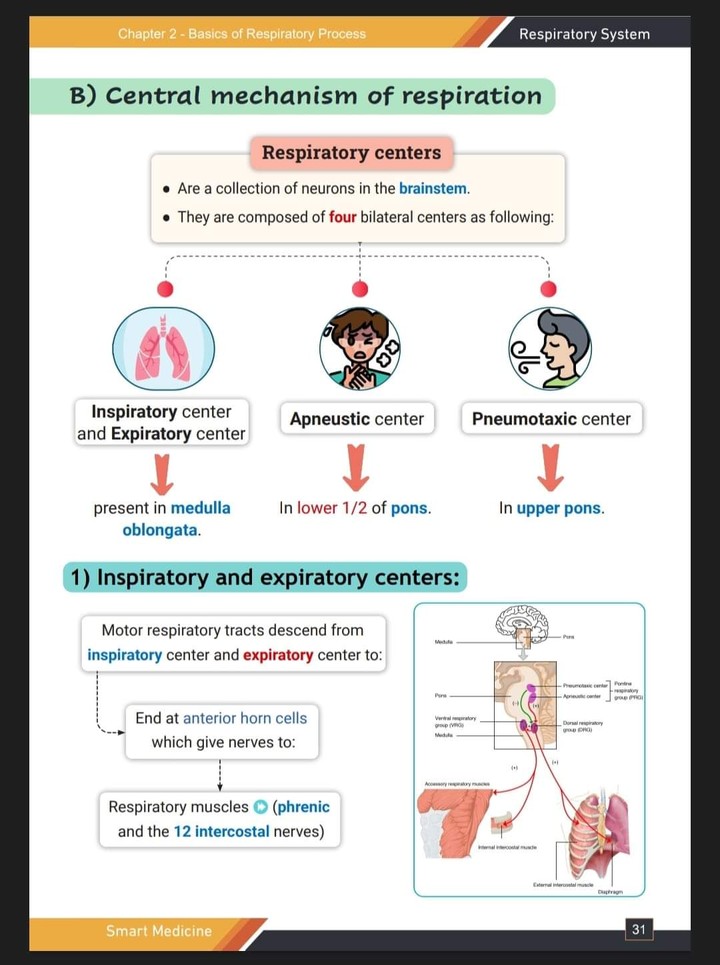 تنسيق الكتب الطبية وغير الطبية