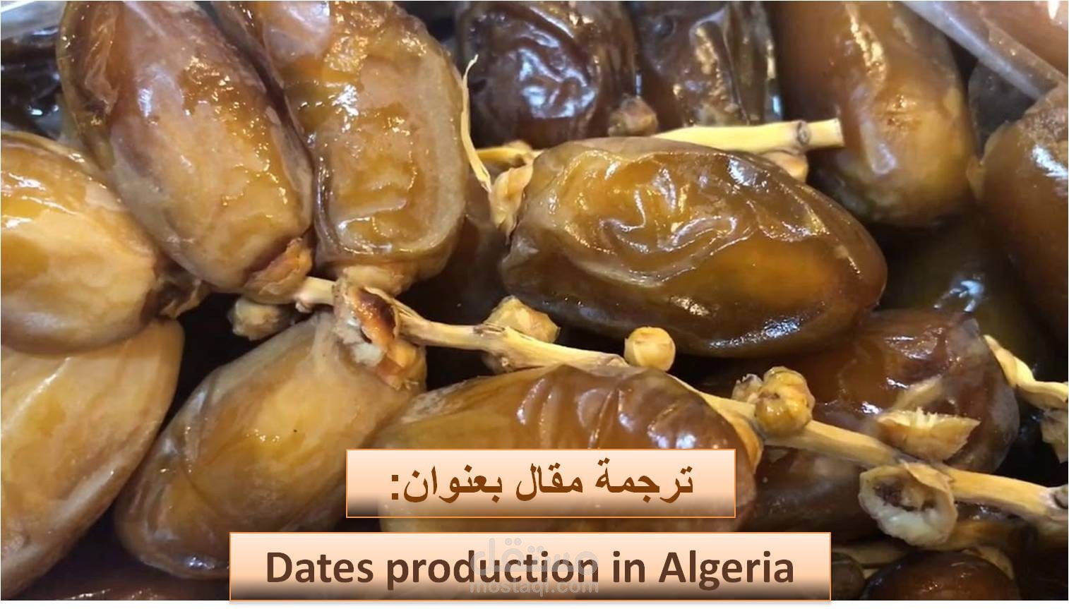 ترجمة مقال من اللغة الإنجليزية إلى العربية ''Date production in Algeria''