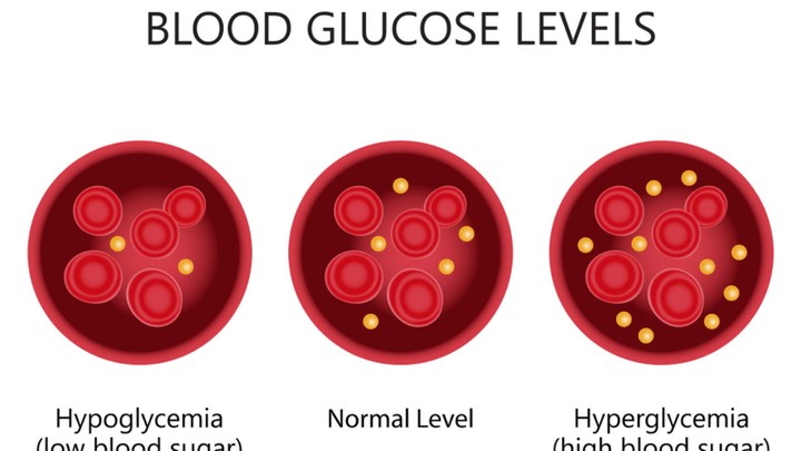 مراجعة وتدقيق لغوي  (التنظيم الهرموني لمستوى السكر في الدم Regulation glucose hormones