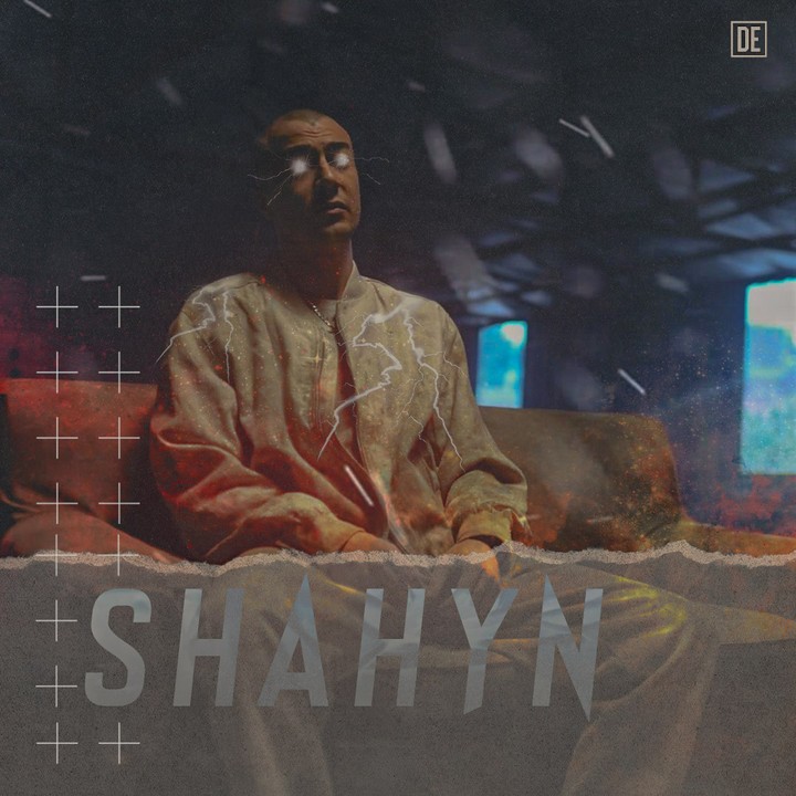 SHAHYN ARTWORK