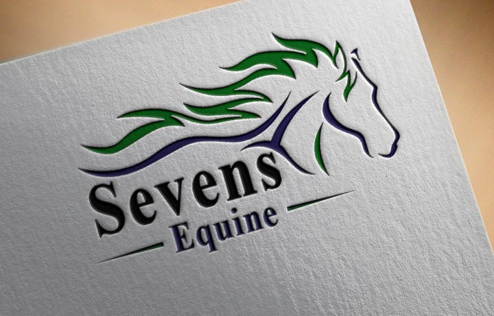 sevens equipe