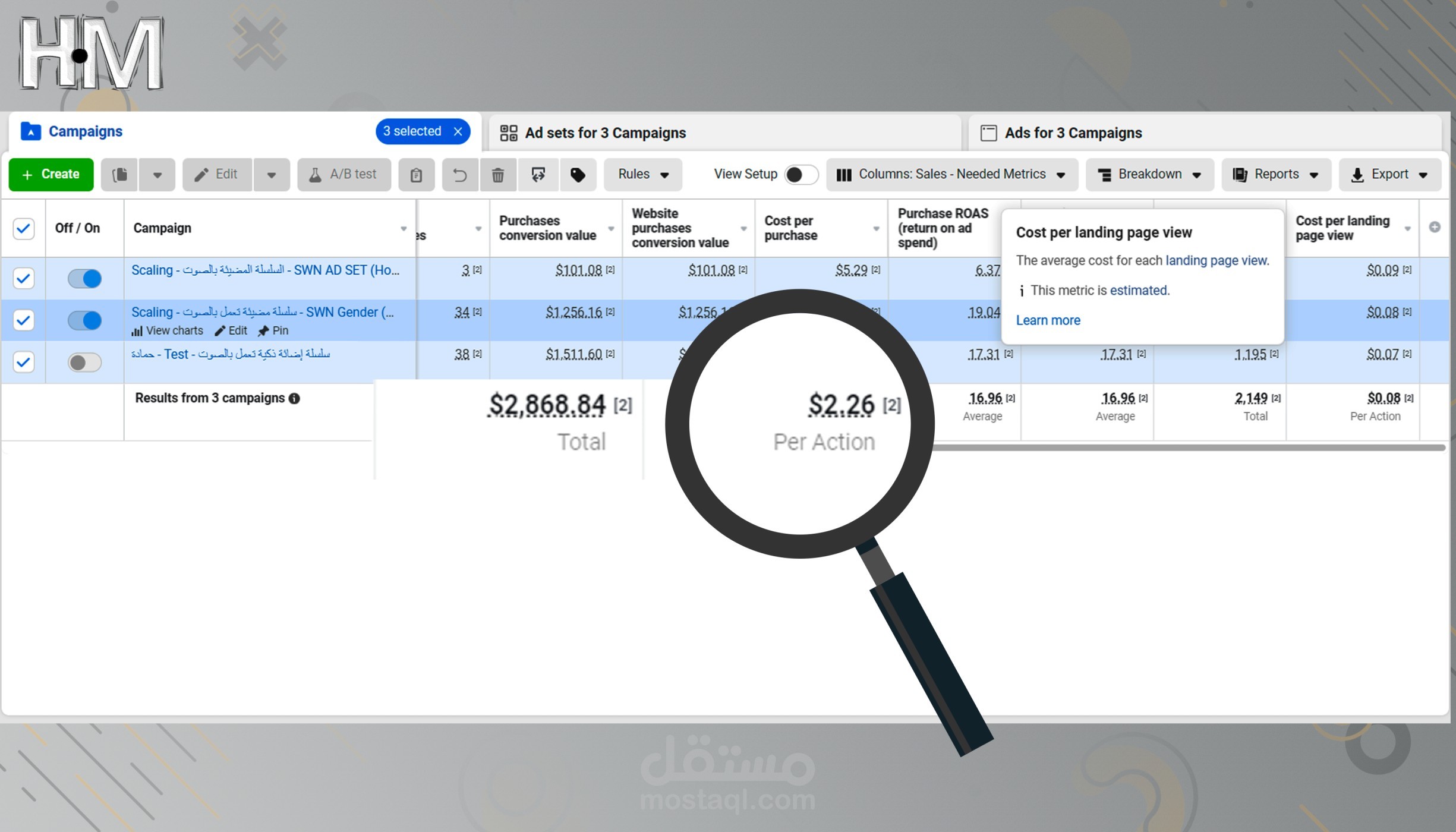 حملة إعلانية علي فيسبوك بتكلفة مبيعة 2.26$ وعائد مادي ROAS= 16.96