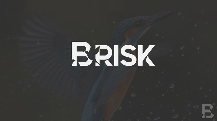 Brisk Logo