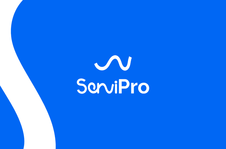 servipro Marketing Agency logo & brand identity