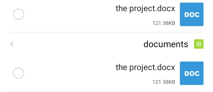 The project