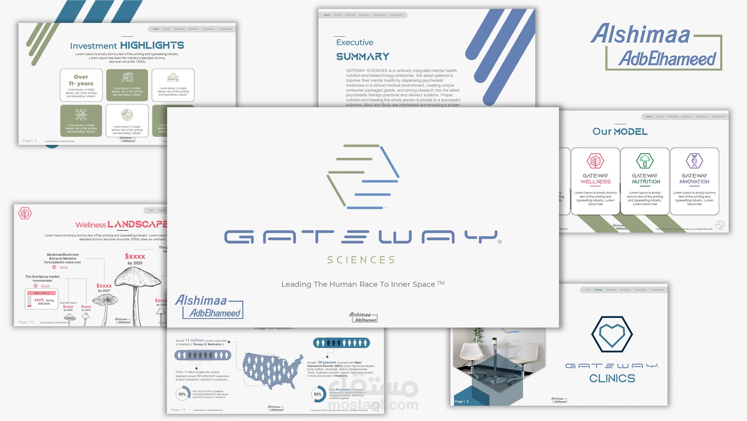 Pitch Deck: Gateway Science