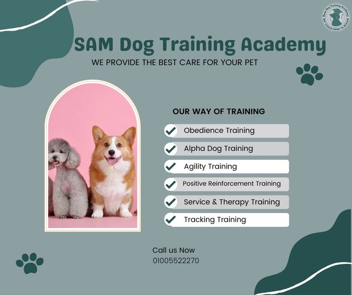 تصميم أعلان لصفحة Sam Dog Training Academy