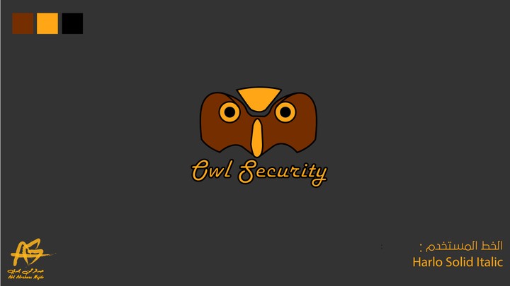 Owl Security (افتح المشروع)