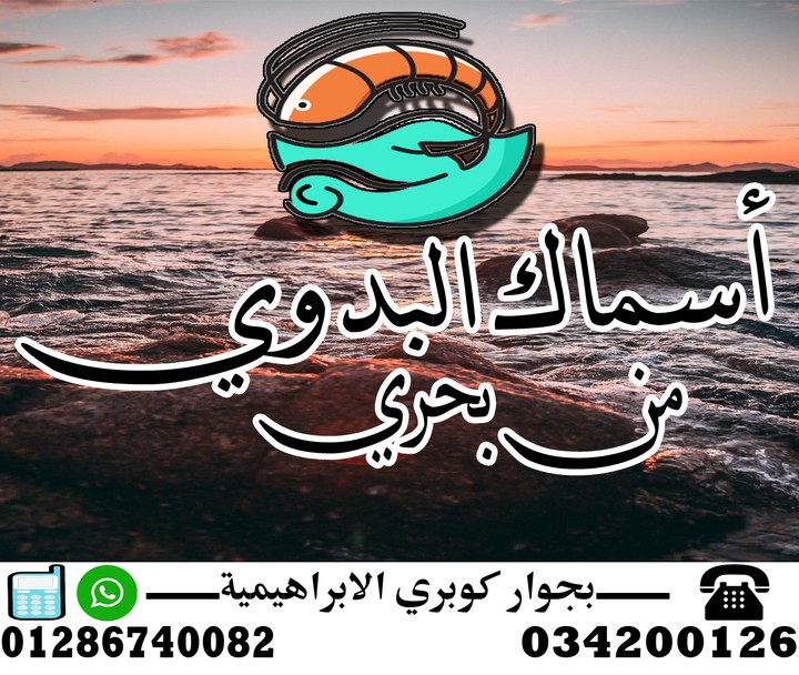 مصمم محترف logo