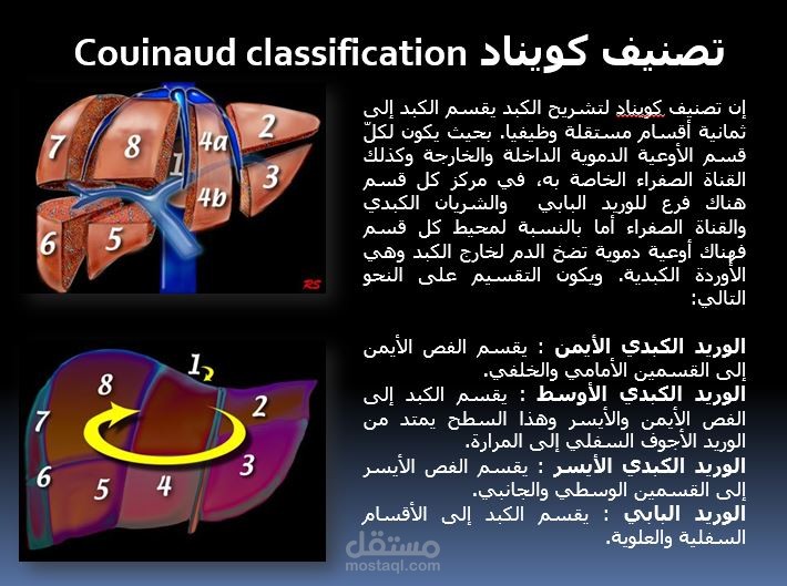 مشاريع العارض الضوئي