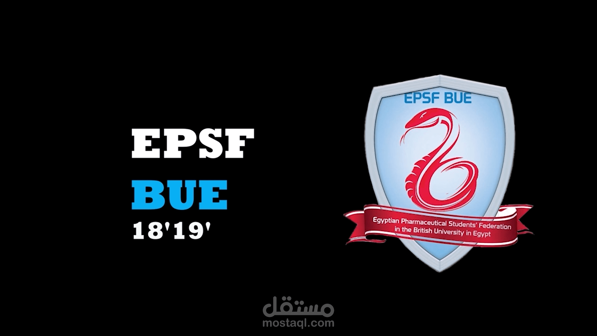 EPSF-BUE 2018 Review