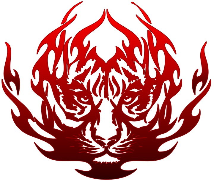 Red Fiery Tiger Logo Design