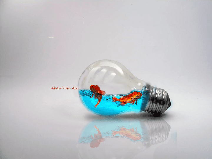 Fish bulb