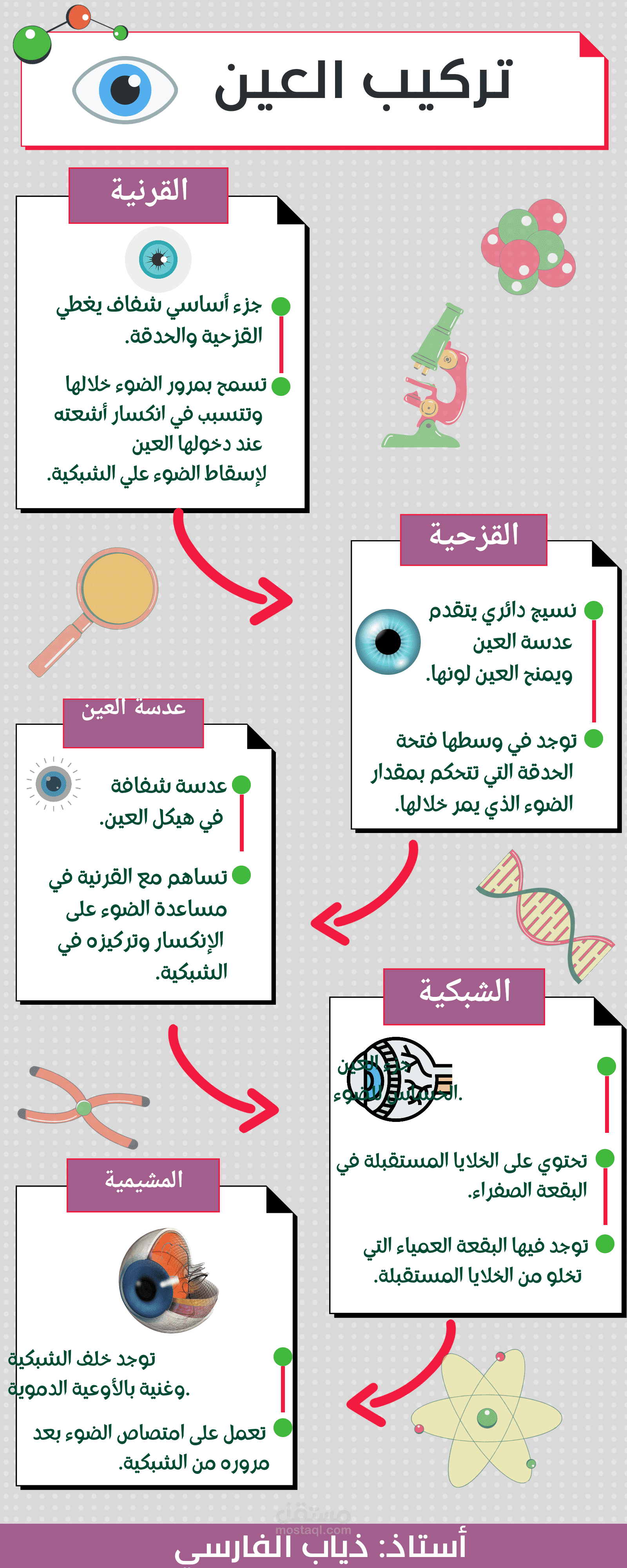 انفوجرافيك لمادة الأحياء