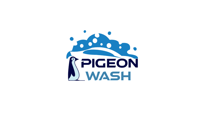 logo for a car washing company