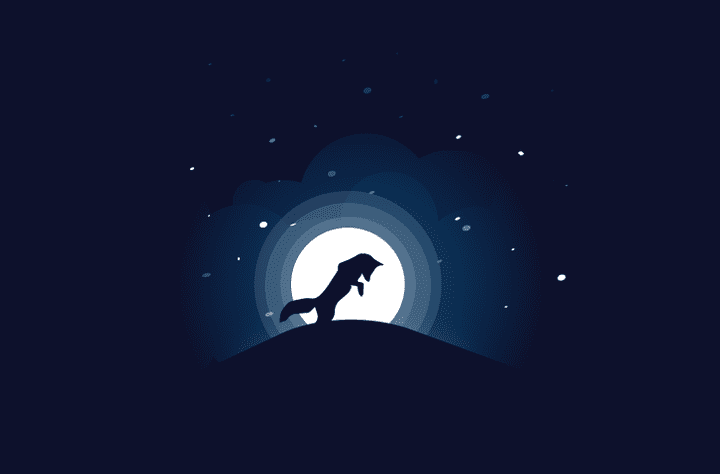 fox and moon