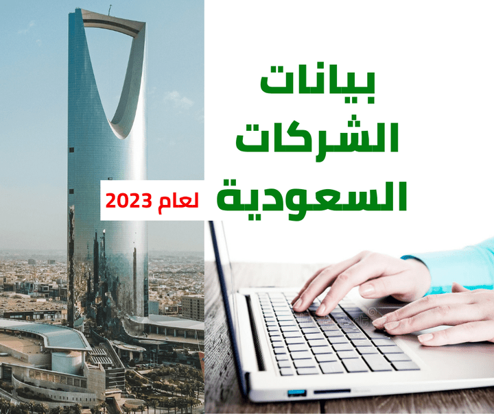 دليل الشركات السعودية_داتا ضخمة منظمة و مصنفة لكل منطقة