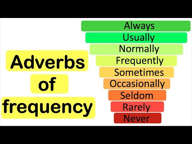 ديمو حصة للكبار / adverbs of frequency