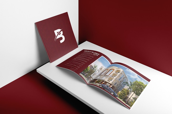 brochure Redstone